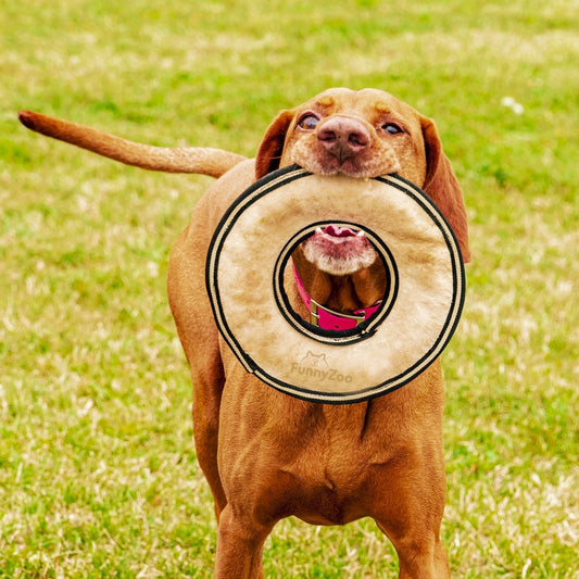 Frisbee per Cani in Camoscio Naturale – Morbido e Sicuro per Denti e Gengive