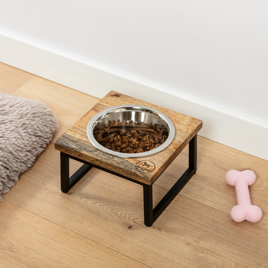 Hearth & Haven Elevated Single Feeder – Ciotola Rialzata di Design per Cani e Gatti