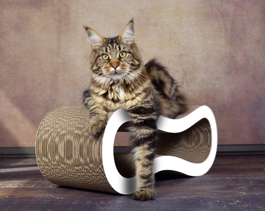 Singha M: Il Mobile di Design per Gatti che Unisce Eleganza e Resistenza