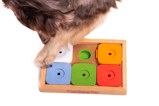 SUDOKU Medio Avanzato Colore – Puzzle di Intelligenza per Cani e Animali Domestici