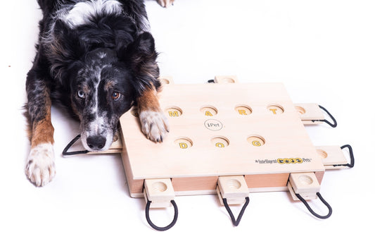 iPet – Gioco di Intelligenza per Cani in Legno | Puzzle Interattivo Stimolante