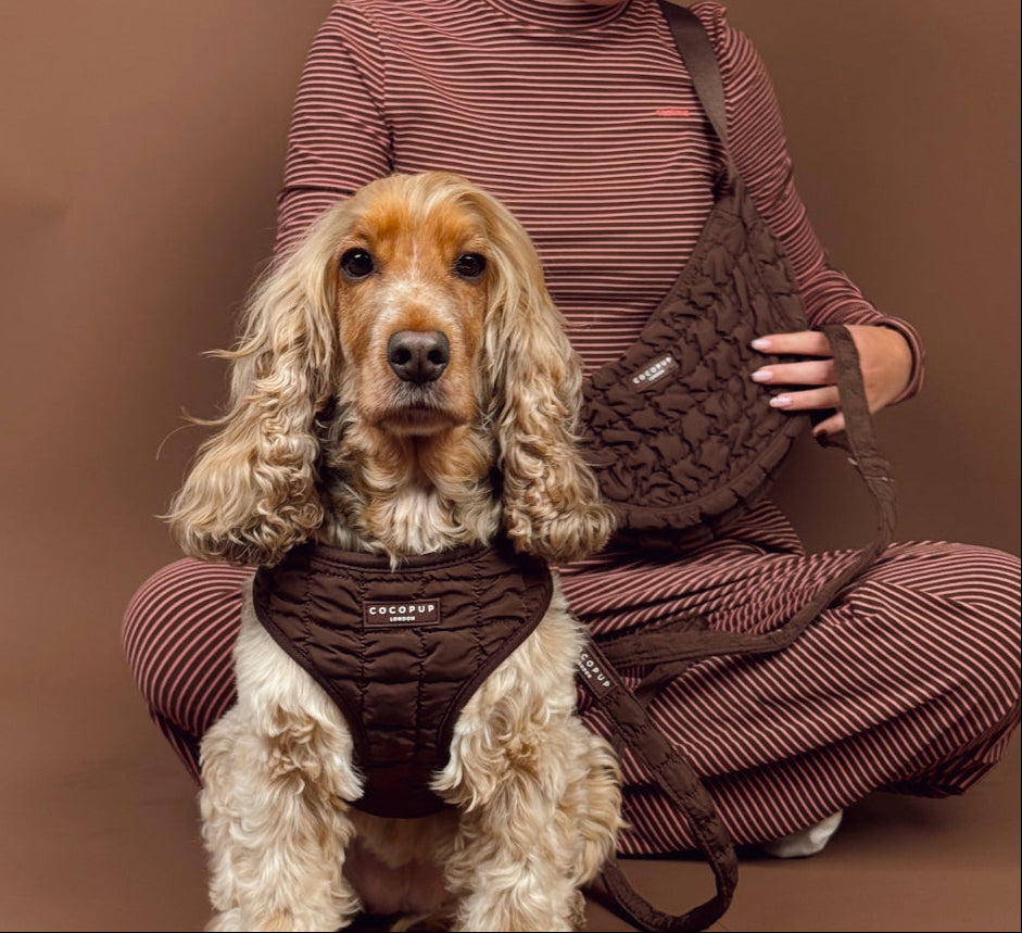 Borse a tracolla a mezzaluna per passeggiate con il cane - Espresso5