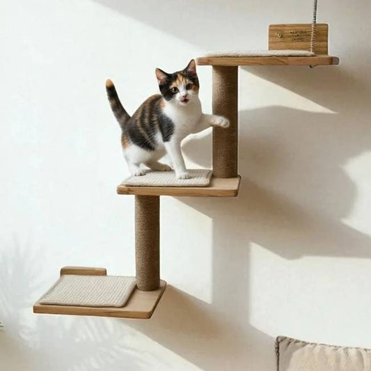 Albero per Gatti Duna – Tiragraffi 3 in 1